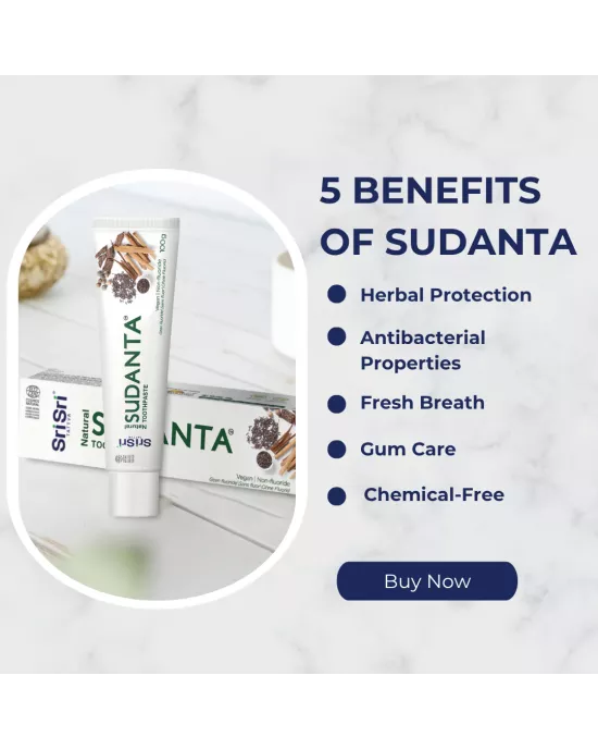 ECOCERT Sudanta Toothpaste 100g (Non Flouride)