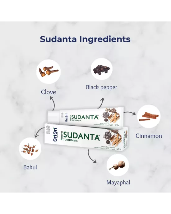 ECOCERT Sudanta Toothpaste 100g (Non Flouride)